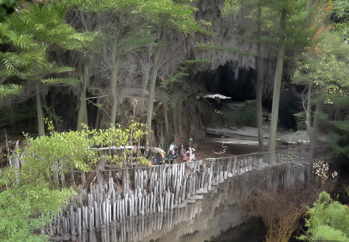 根特VS拉尔纳卡：欧战新格局下的精彩对决解析(图3)